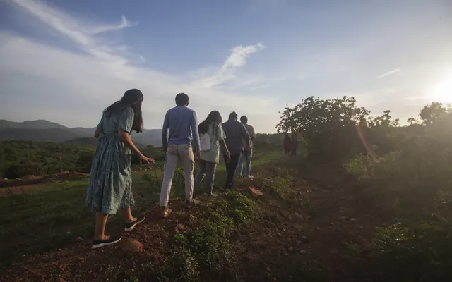 A group walking the land together at first light