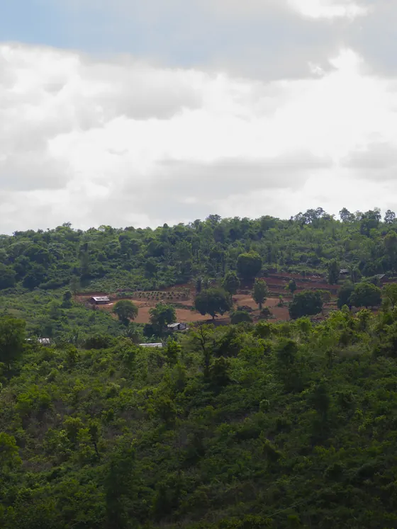 The hill at Nannilam under cloud, farm clearings cut into the forest