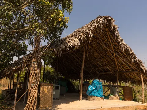 An open thatched shelter for gathering, on the edge of the trees